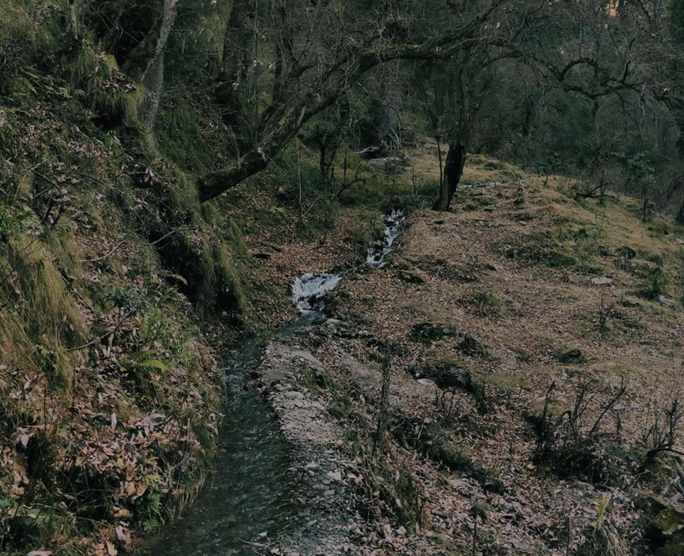 Nature Exploration